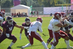aguilas-blancas-burros-blancos-2023-onefa-39