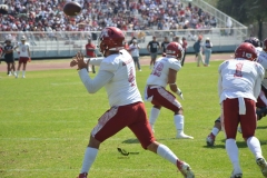 aguilas-blancas-burros-blancos-2023-onefa-43