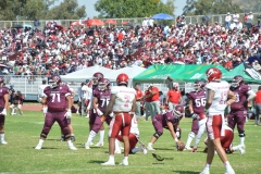aguilas-blancas-burros-blancos-2023-onefa-45