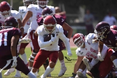 aguilas-blancas-burros-blancos-2023-onefa-69