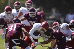 aguilas-blancas-burros-blancos-2023-onefa-70