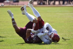 aguilas-blancas-burros-blancos-2023-onefa-73