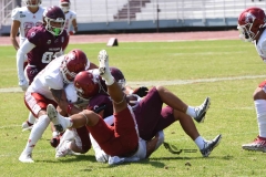 aguilas-blancas-burros-blancos-2023-onefa-80