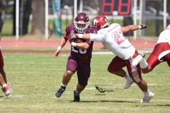 aguilas-blancas-burros-blancos-2023-onefa-84