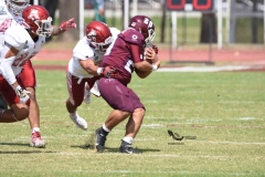 aguilas-blancas-burros-blancos-2023-onefa-85