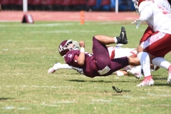 aguilas-blancas-burros-blancos-2023-onefa-89