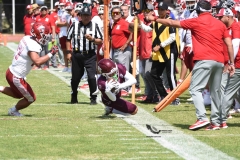 aguilas-blancas-burros-blancos-2023-onefa-91