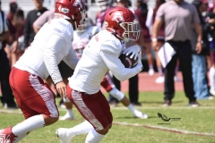 aguilas-blancas-burros-blancos-2023-onefa-93
