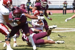 aguilas-blancas-burros-blancos-2023-onefa-98