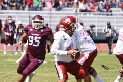 aguilas-blancas-burros-blancos-2023-onefa-99