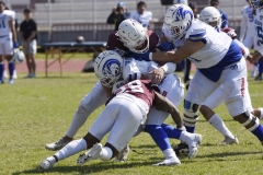 burros-blancos-borregos-gdl-onefa-2024-1