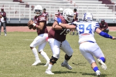 burros-blancos-borregos-gdl-onefa-2024-102