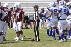 burros-blancos-borregos-gdl-onefa-2024-106