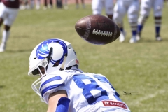 burros-blancos-borregos-gdl-onefa-2024-108