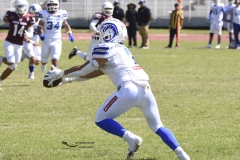 burros-blancos-borregos-gdl-onefa-2024-11