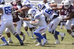 burros-blancos-borregos-gdl-onefa-2024-110