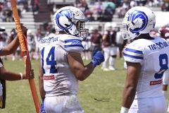 burros-blancos-borregos-gdl-onefa-2024-112