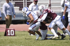 burros-blancos-borregos-gdl-onefa-2024-117