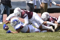 burros-blancos-borregos-gdl-onefa-2024-118