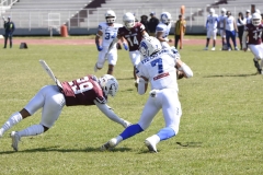 burros-blancos-borregos-gdl-onefa-2024-12
