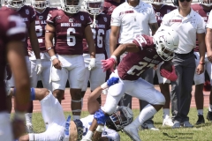 burros-blancos-borregos-gdl-onefa-2024-120