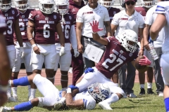 burros-blancos-borregos-gdl-onefa-2024-121