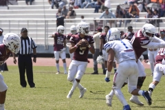 burros-blancos-borregos-gdl-onefa-2024-126