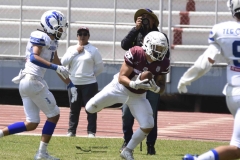 burros-blancos-borregos-gdl-onefa-2024-127