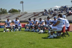 burros-blancos-borregos-gdl-onefa-2024-129