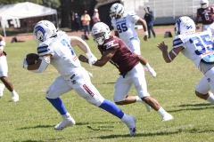 burros-blancos-borregos-gdl-onefa-2024-13