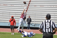 burros-blancos-borregos-gdl-onefa-2024-130