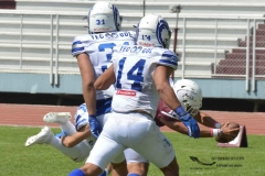 burros-blancos-borregos-gdl-onefa-2024-131