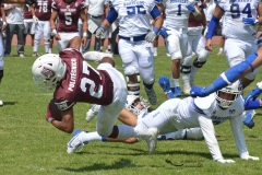 burros-blancos-borregos-gdl-onefa-2024-132