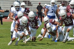 burros-blancos-borregos-gdl-onefa-2024-137