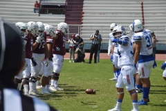 burros-blancos-borregos-gdl-onefa-2024-139