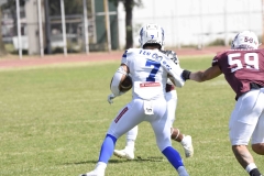 burros-blancos-borregos-gdl-onefa-2024-14