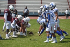 burros-blancos-borregos-gdl-onefa-2024-140