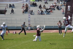 burros-blancos-borregos-gdl-onefa-2024-141