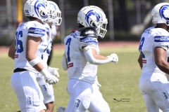 burros-blancos-borregos-gdl-onefa-2024-15