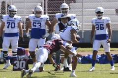 burros-blancos-borregos-gdl-onefa-2024-18