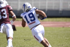burros-blancos-borregos-gdl-onefa-2024-19