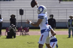 burros-blancos-borregos-gdl-onefa-2024-2