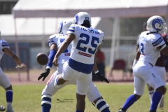 burros-blancos-borregos-gdl-onefa-2024-23