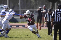 burros-blancos-borregos-gdl-onefa-2024-24