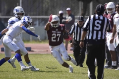 burros-blancos-borregos-gdl-onefa-2024-25