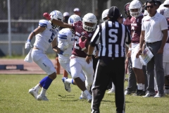 burros-blancos-borregos-gdl-onefa-2024-26