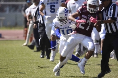 burros-blancos-borregos-gdl-onefa-2024-27