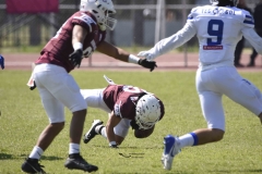 burros-blancos-borregos-gdl-onefa-2024-29