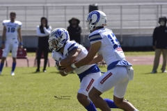 burros-blancos-borregos-gdl-onefa-2024-3