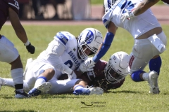 burros-blancos-borregos-gdl-onefa-2024-31